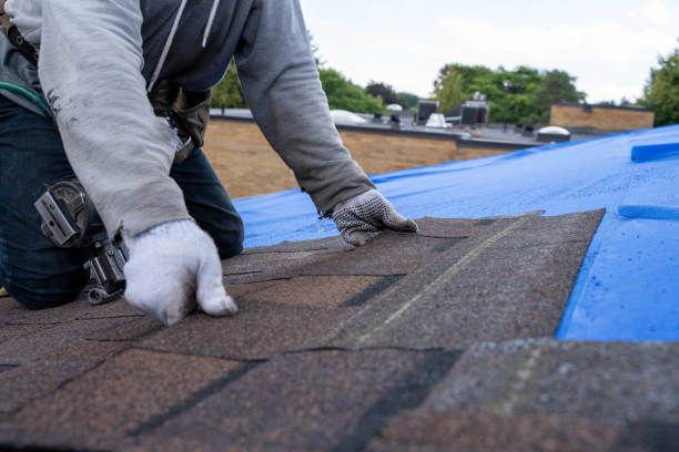 Best Commercial Roofing Services  in Wayland, MI
